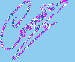 cornelia.gif
